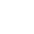 Vizyon Icon
