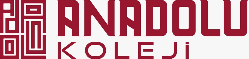 Anadolu Koleji