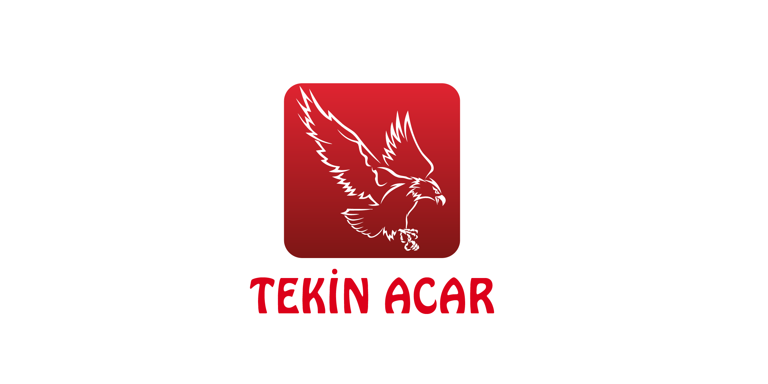 Tekin Acar
